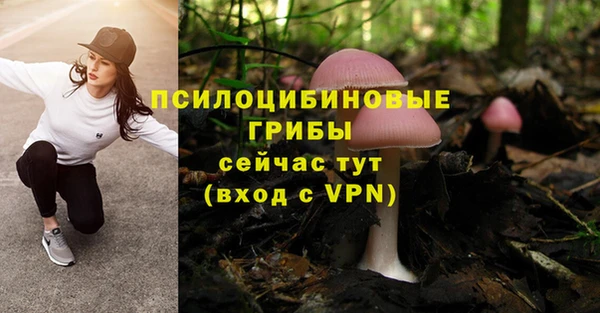 мет Медвежьегорск