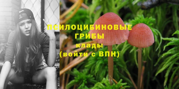 гашишное масло Михайловск