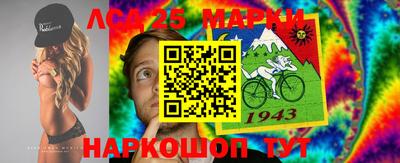 шишки Моздок