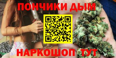 шишки Моздок