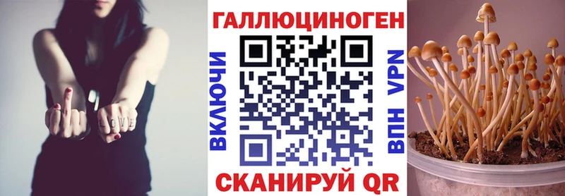 KRAKEN   Шебекино  Псилоцибиновые грибы прущие грибы 