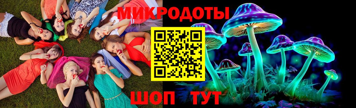 Псилоцибиновые грибы Psilocybe Шебекино