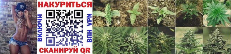 Марихуана Bruce Banner  Шебекино 